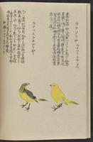 ku-speccoll:11885-160