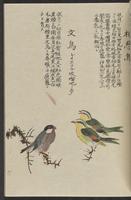 ku-speccoll:11885-161