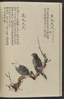 ku-speccoll:11885-162