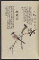 ku-speccoll:11885-165