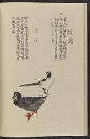 ku-speccoll:11885-166