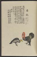ku-speccoll:11885-167