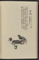 ku-speccoll:11885-168