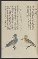 ku-speccoll:11885-169