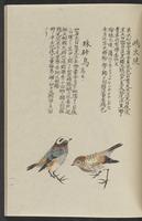 ku-speccoll:11885-171