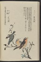 ku-speccoll:11885-172