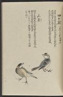 ku-speccoll:11885-173