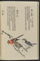 ku-speccoll:11885-174