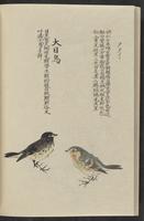 ku-speccoll:11885-176