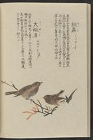 ku-speccoll:11885-178