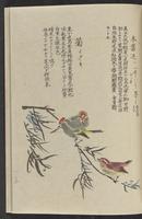 ku-speccoll:11885-179