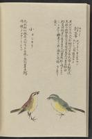 ku-speccoll:11885-180