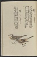 ku-speccoll:11885-181