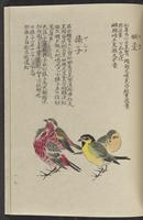 ku-speccoll:11885-183