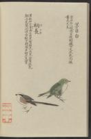 ku-speccoll:11885-186