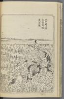 ku-speccoll:12186-11