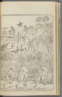 ku-speccoll:12186-13