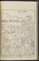 ku-speccoll:12186-15