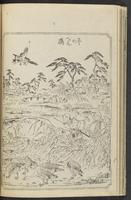 ku-speccoll:12186-17