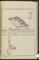 ku-speccoll:12186-35