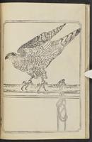 ku-speccoll:12186-39