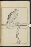 ku-speccoll:12186-43