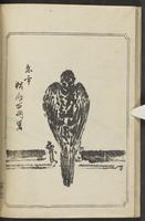 ku-speccoll:12186-45