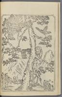 ku-speccoll:12186-55