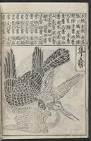 ku-speccoll:12252-14