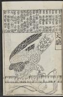 ku-speccoll:12252-15