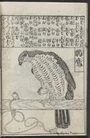 ku-speccoll:12252-18