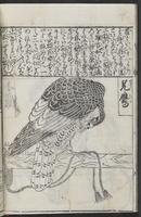 ku-speccoll:12252-20