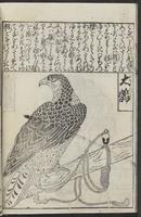 ku-speccoll:12252-22