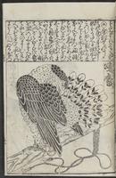 ku-speccoll:12252-23