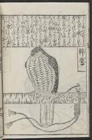 ku-speccoll:12252-26