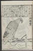 ku-speccoll:12252-27