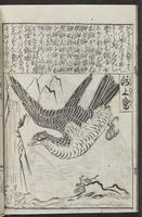 ku-speccoll:12252-28