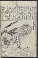 ku-speccoll:12252-32