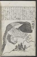 ku-speccoll:12252-34