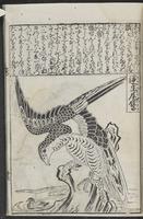 ku-speccoll:12252-35