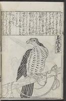 ku-speccoll:12252-36