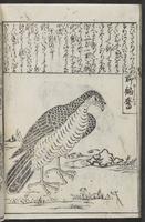 ku-speccoll:12252-38