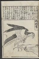 ku-speccoll:12252-43