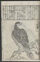 ku-speccoll:12252-49