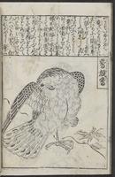 ku-speccoll:12252-50