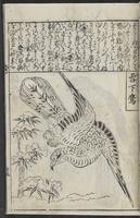 ku-speccoll:12252-51