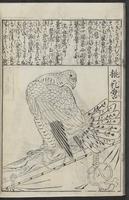 ku-speccoll:12252-54