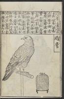 ku-speccoll:12252-56