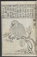 ku-speccoll:12252-57