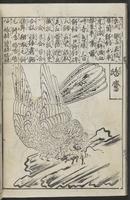 ku-speccoll:12252-58